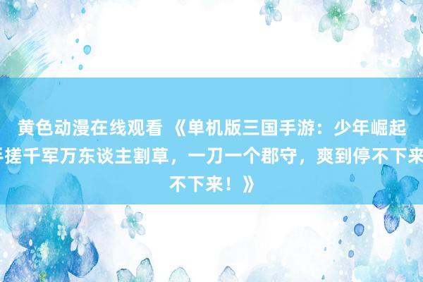 黄色动漫在线观看 《单机版三国手游：少年崛起，手搓千军万东谈主割草，一刀一个郡守，爽到停不下来！》